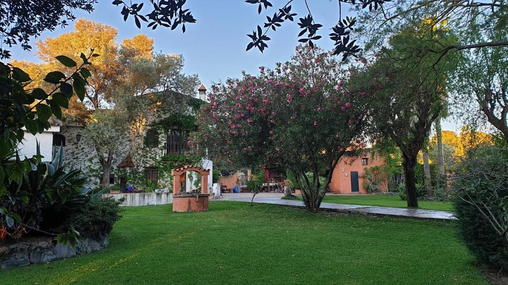 Bed and Breakfast La Casa Del Torreon Альхараке Экстерьер фото
