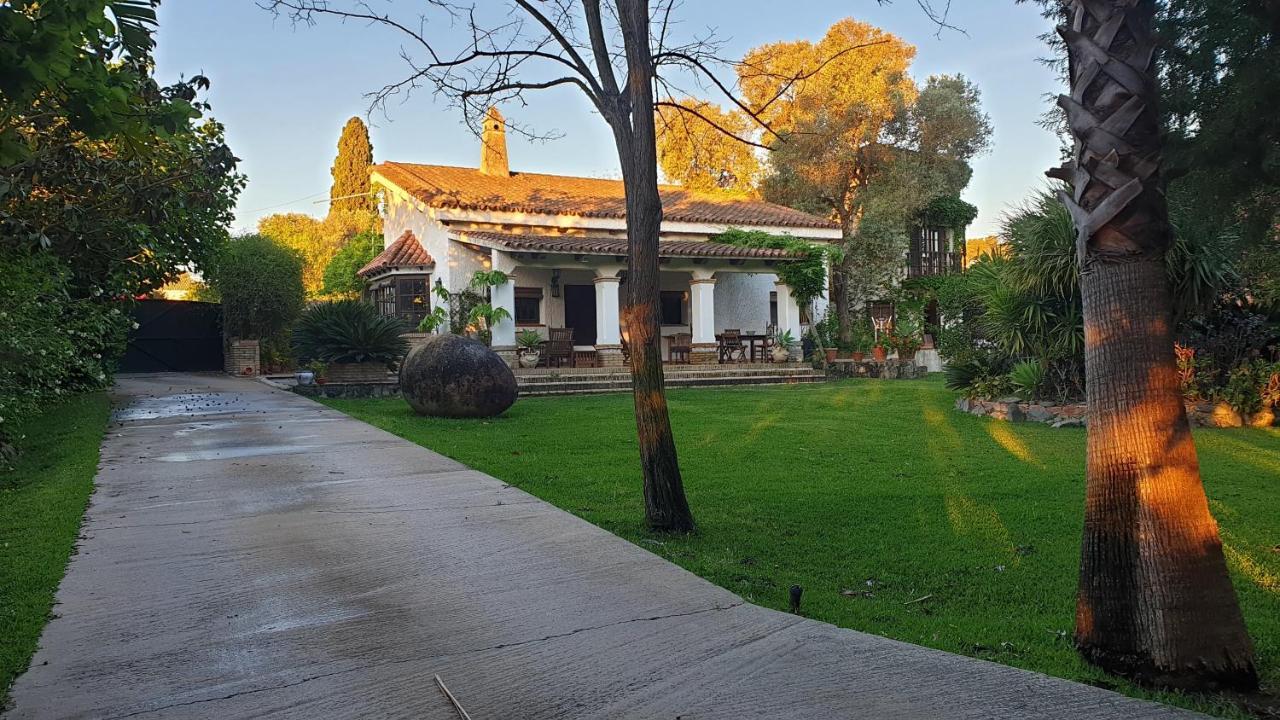 Bed and Breakfast La Casa Del Torreon Альхараке Экстерьер фото