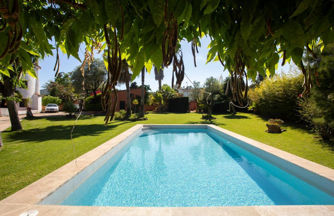 Bed and Breakfast La Casa Del Torreon Альхараке Экстерьер фото