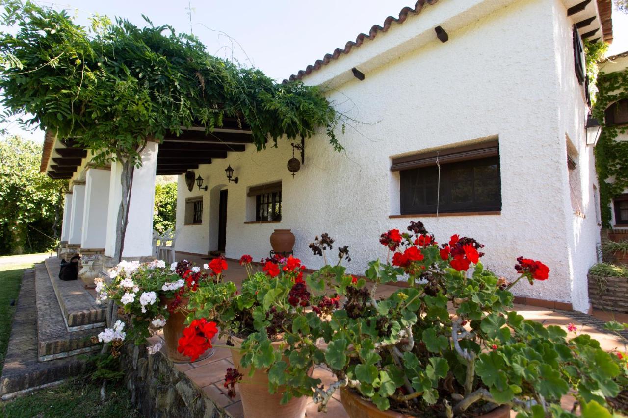 Bed and Breakfast La Casa Del Torreon Альхараке Экстерьер фото